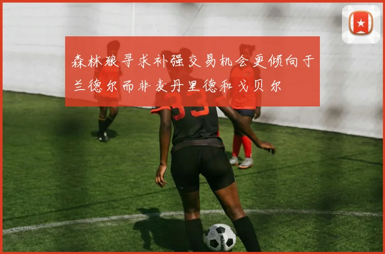 森林狼寻求补强交易机会更倾向于兰德尔而非麦丹里德和戈贝尔